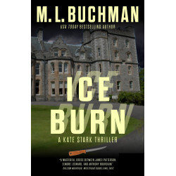Ice Burn: a Kate Stark thriller