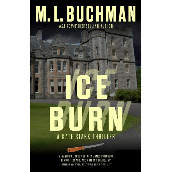 Ice Burn: a Kate Stark thriller