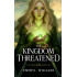 The Kingdom Threatened: Book Four of the Chosen of Bryndir